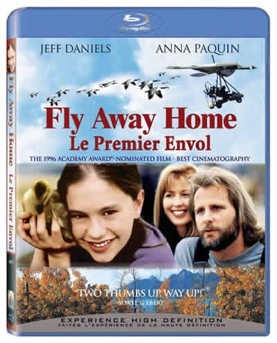 FLy Away Home