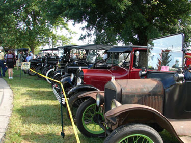 Ford Model T's