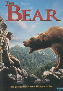 The Bear