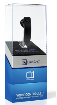 BlueAnt Q1