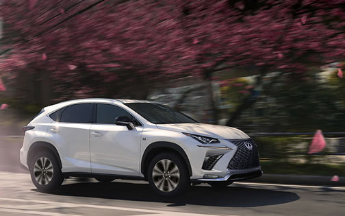 Lexus NX 300