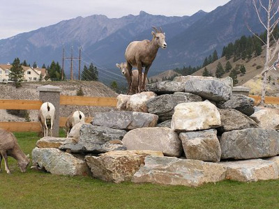 Radium Hot Springs