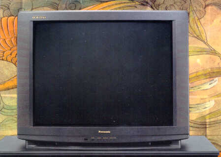 Panasonic's GAOO TV