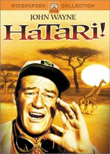 Hatari