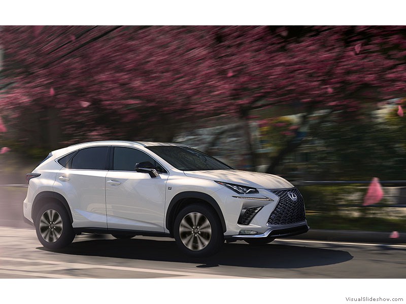 Lexus NX 300