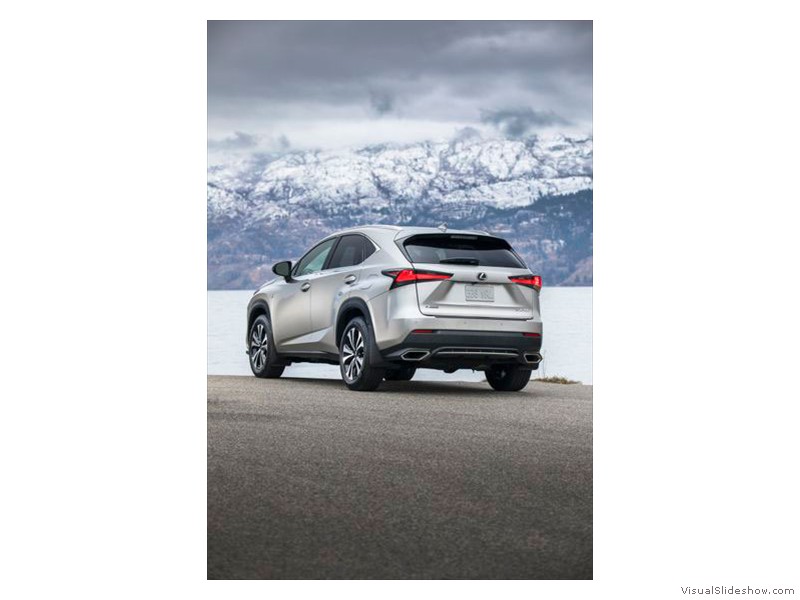 Lexus NX 300